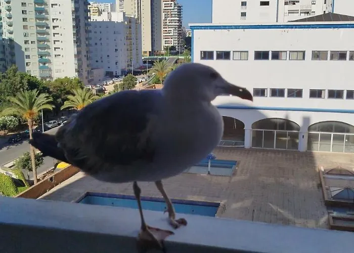 Da Wi-fi 472 Lejlighed